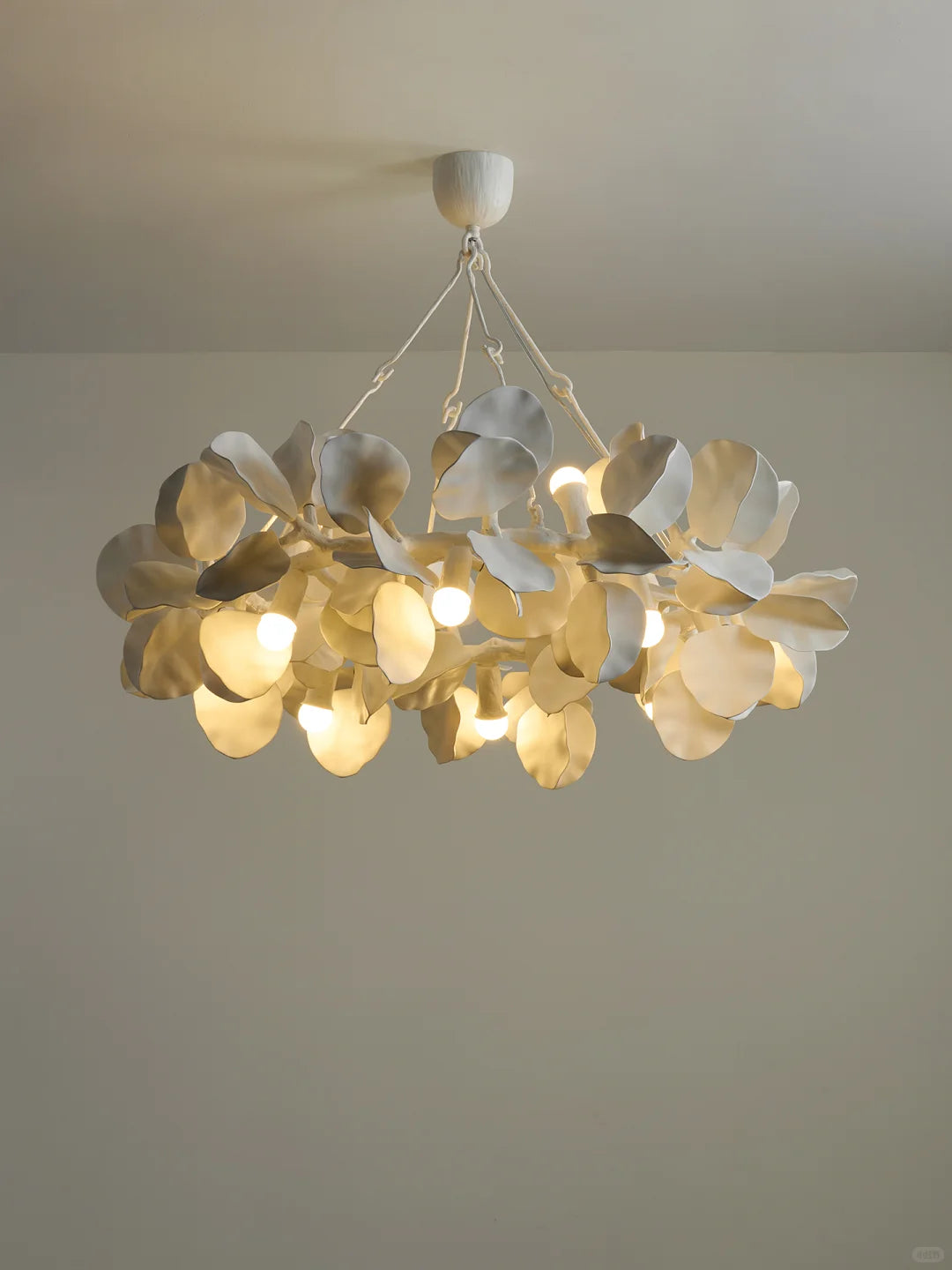 Sculpted Petal Chandelier Numbo