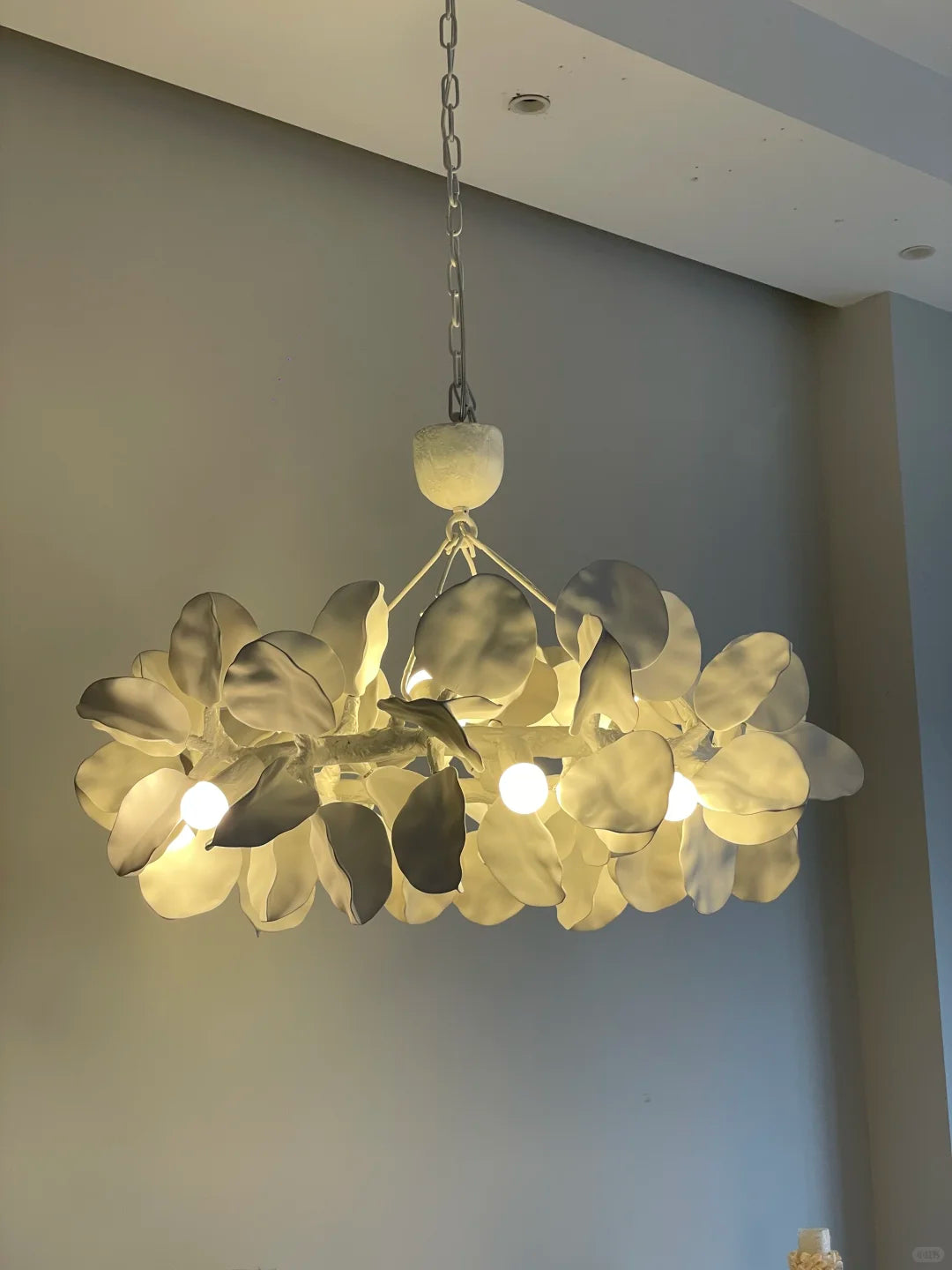 Sculpted Petal Chandelier Numbo