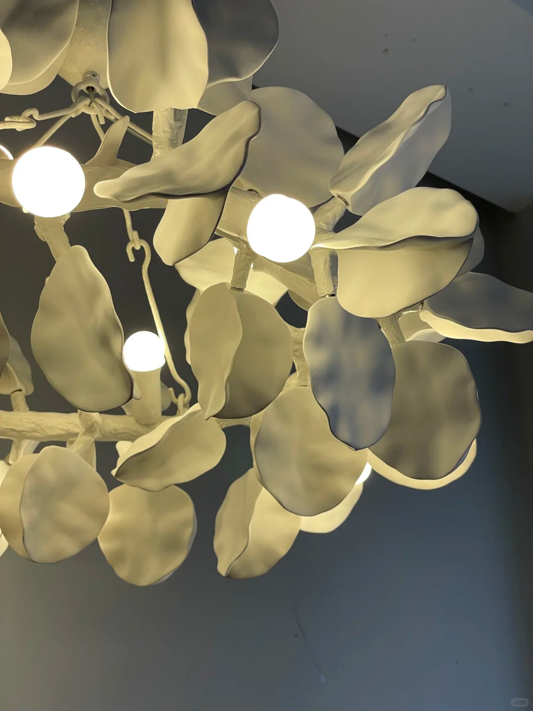 Sculpted Petal Chandelier Numbo