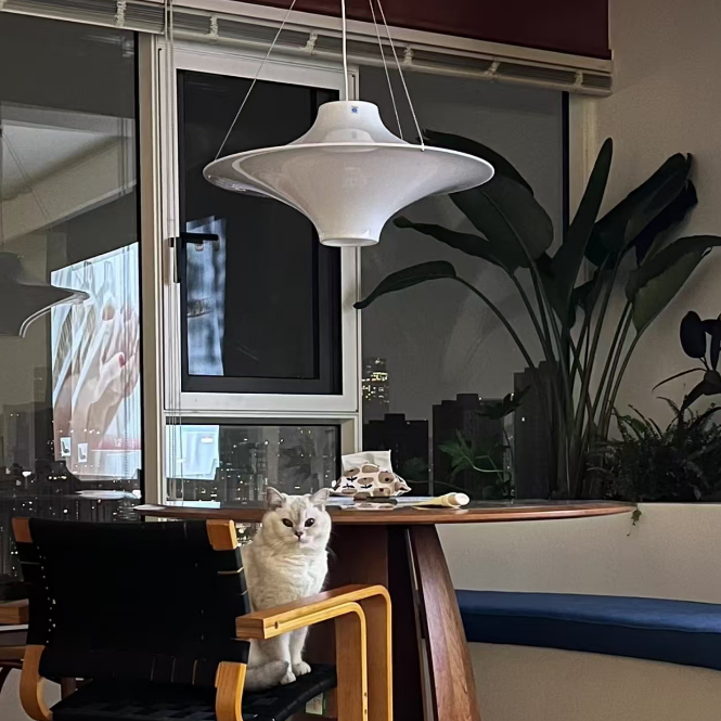 A white cat sits on a black woven chair with light wood arms at a dining table in a modern interior. A large white pendant light hangs above, with a window, city view, and potted plants in the background.