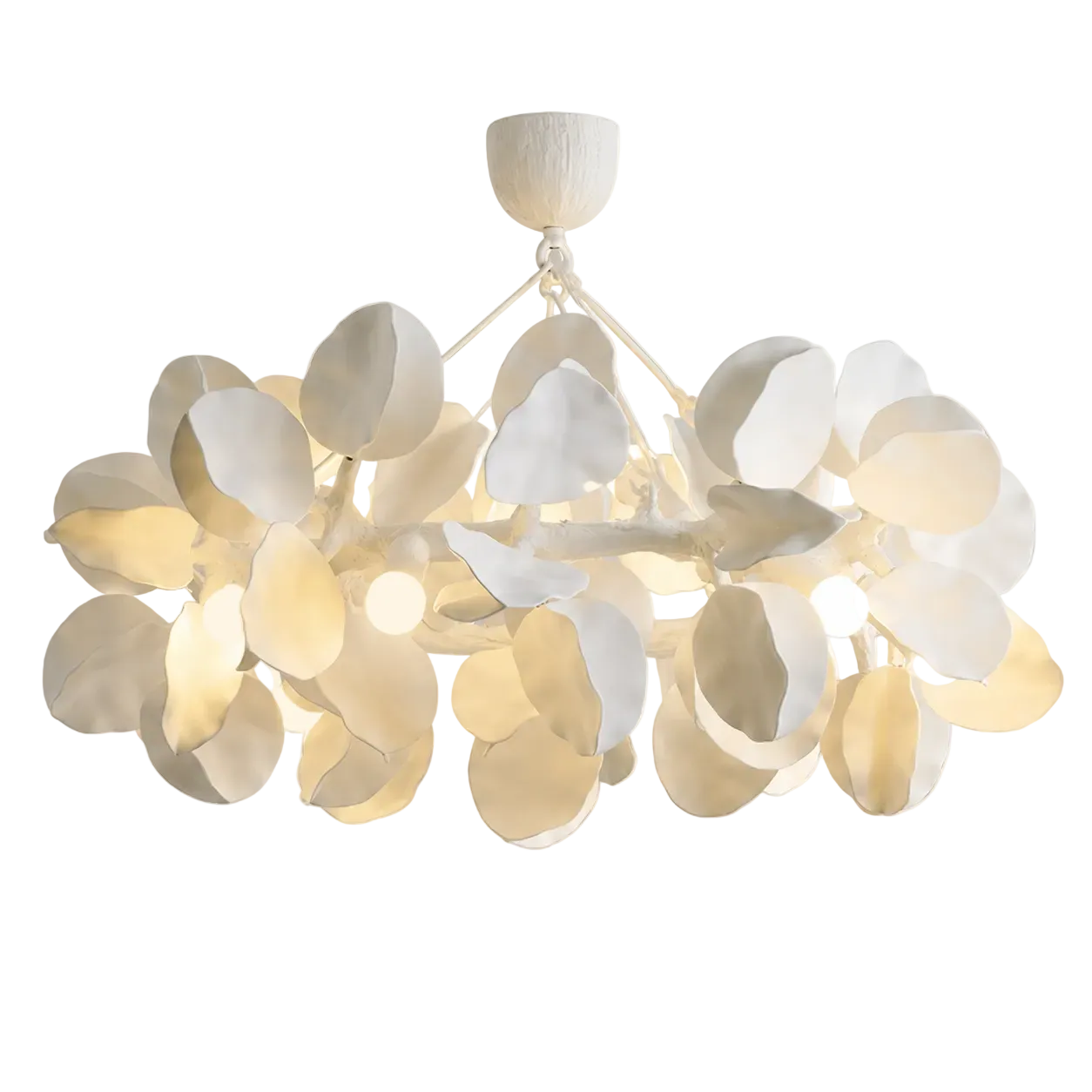 Sculpted Petal Chandelier Dia 85 cm (33.5") × H 35 cm (13.8") Numbo