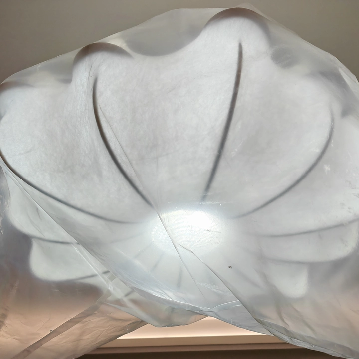 Zephyr Silk Petal Chandelier Glowryte