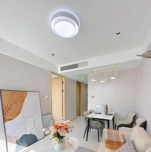Luma Disc Flush Mount Glowryte